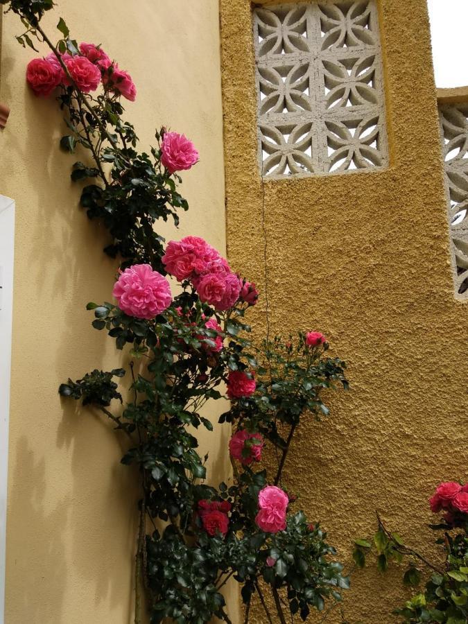 Villa Humboldt La Orotava Εξωτερικό φωτογραφία